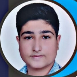 ایلیا ربیع